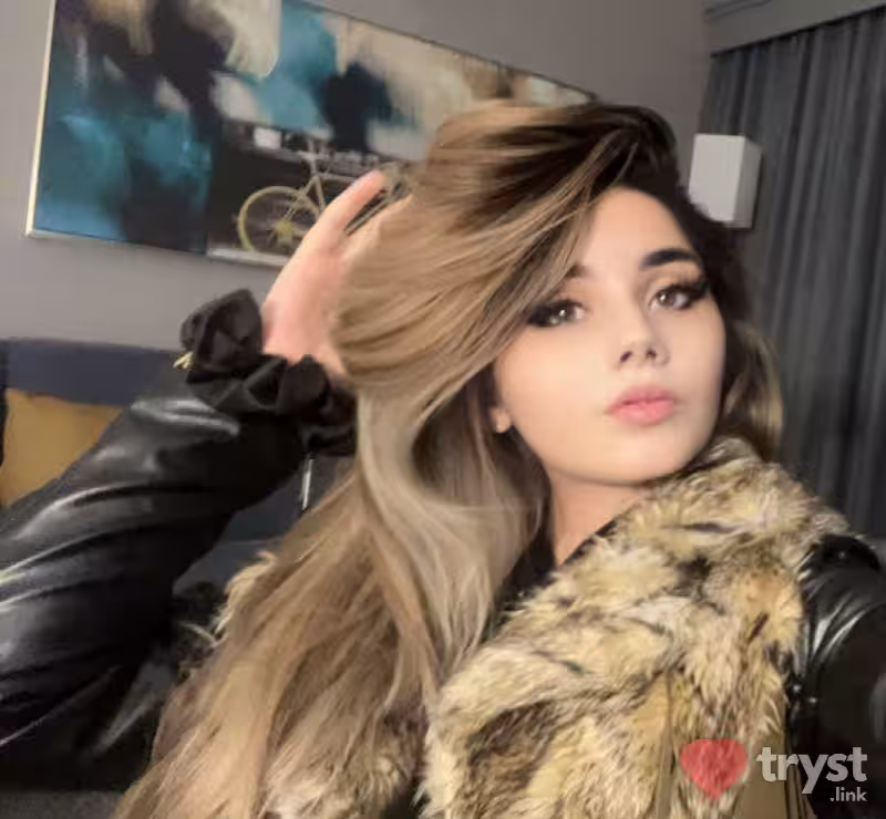companion Persia in Dallas, TX