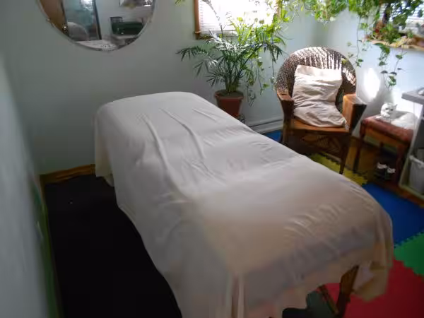 companion/Massage Gina in Detroit, MI