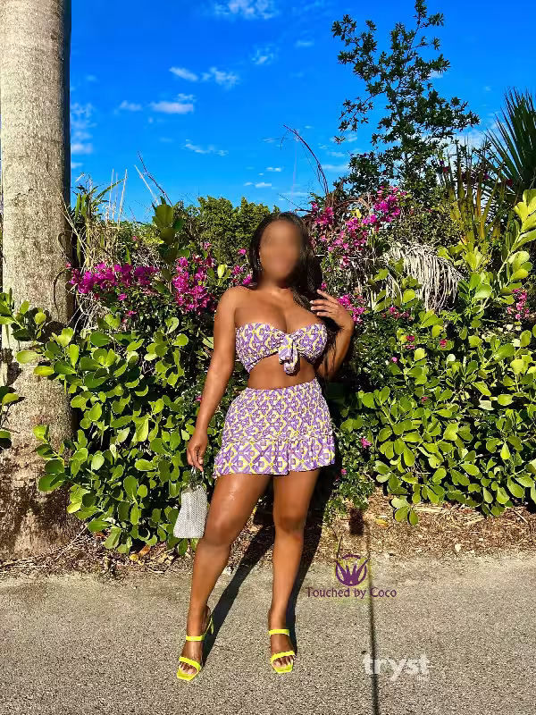 companion/Massage Coco in Miami, FL