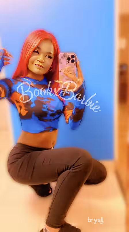 companion Barbie in Naperville, IL