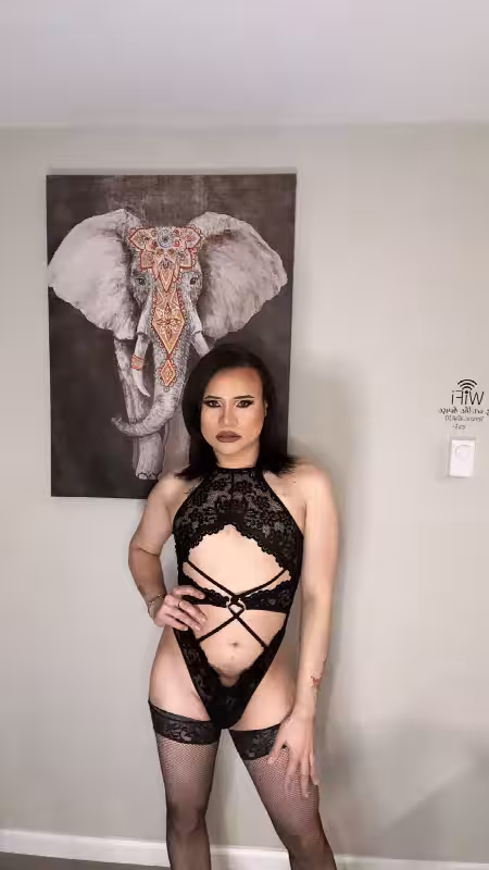 companion TS Valentina in New Brunswick, NJ