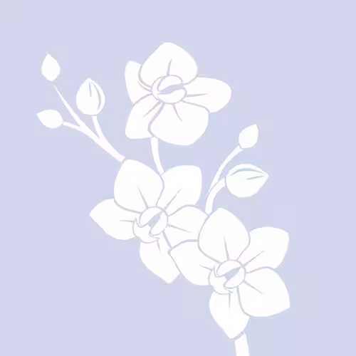 companion/Massage Audrey Wright in New York City - Manhattan, NY